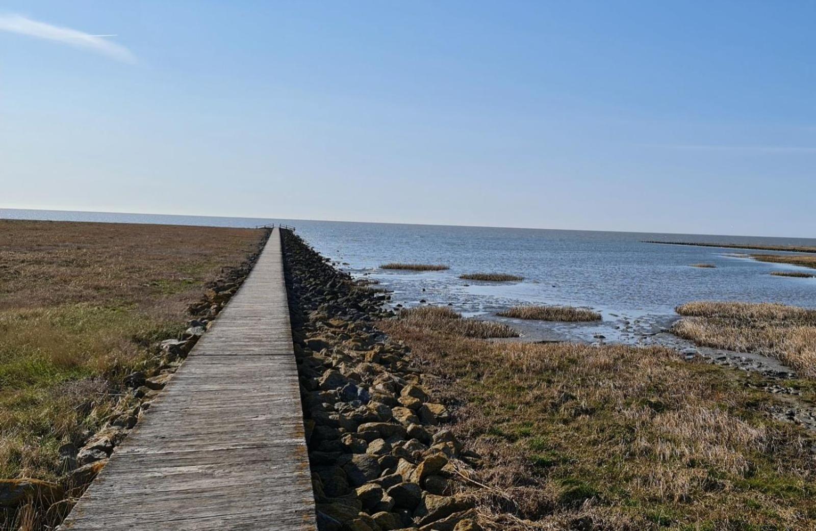 Kuestenperle Nordsee Mit Balkon Und Sauna *