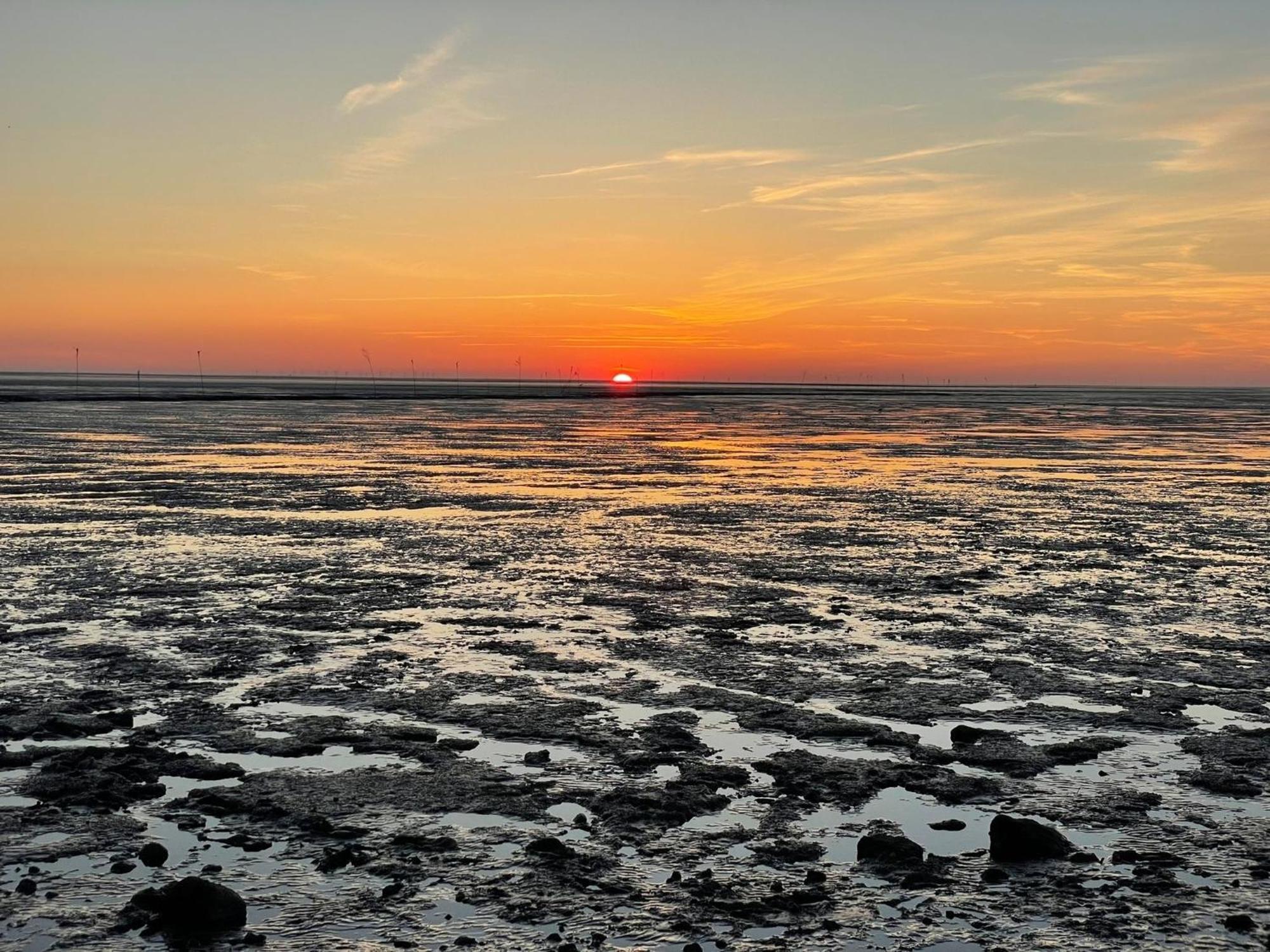 Kuestenperle Nordsee Mit Balkon Und Sauna